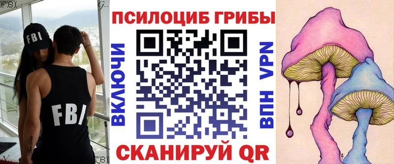 Купить  Льгов  Галлюциногенные грибы Psilocybe 